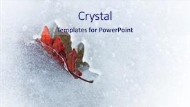  Presentation with ice frozen - Presentation theme having autumn leaf frozen in the ice horizontal orientation background and a sky blue colored foreground