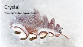 Presentation with ice frozen - Audience pleasing PPT theme consisting of autumn leaf frozen in the ice horizontal orientation backdrop and a light gray colored foreground