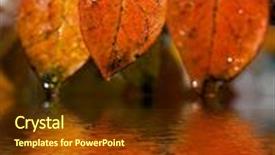  Presentation with water leaf - Presentation theme enhanced with autumn leaf in snow background and a tawny brown colored foreground