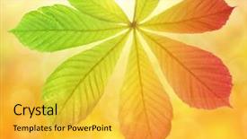  Presentation with tree - Amazing presentation theme having autumn-leaf-of-chestnut-tree backdrop and a yellow colored foreground