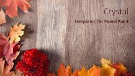  Presentation with autumn wood - Presentation design with autumn-leaf-on-wood-black background and a coral colored foreground