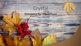  Presentation with autumn wood - Presentation design enhanced with autumn-leaf-on-wood-black background and a  colored foreground