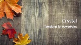  Presentation with yellow wood - Colorful presentation design enhanced with autumn leaf on wood black backdrop and a gray colored foreground