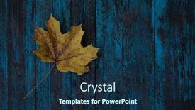  Presentation with autumn wood - PPT layouts featuring autumn-leaf-on-wood-blue background and a navy blue colored foreground