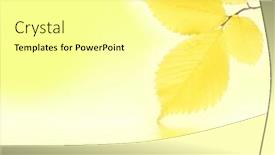  Presentation with water leaf - Slides having autumn-leaf-over-water background and a white colored foreground