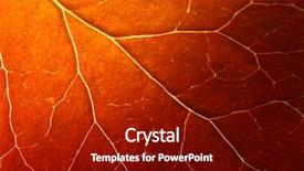  Presentation with leaf pathogen - Slides having autumn leaf texture macro shot background and a crimson colored foreground