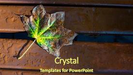  Presentation with autumn wood - Audience pleasing slide set consisting of autumn leaf with water drop backdrop and a tawny brown colored foreground