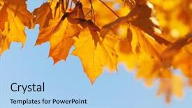  Presentation with autumn blue - Colorful PPT theme enhanced with autumn leaves against blue sky backdrop and a  colored foreground