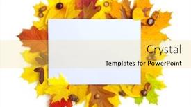  Presentation with nature design - Slide deck having autumn-leaves-and-empty-blank background and a yellow colored foreground