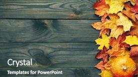  Presentation with leaves - Audience pleasing slide deck consisting of autumn leaves and pumpkin backdrop and a dark gray colored foreground