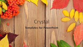  Presentation with autumn wood - Presentation consisting of autumn-leaves-and-rowan-berries background and a coral colored foreground