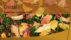  Presentation with banana stem tree and leaf - Beautiful presentation theme featuring autumn leaves background apple tree backdrop and a gold colored foreground