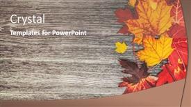  Presentation with maple leaf - Slide set enhanced with autumn leaves background top view of old wooden rustic wood background texture and red and yellow foliage maple leaf fall season concept background and a gray colored foreground
