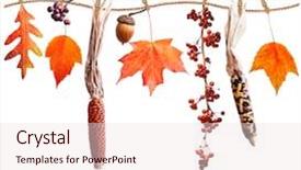  Presentation with fall leaves border autumn - Colorful theme enhanced with autumn leaves berries and seed backdrop and a lemonade colored foreground