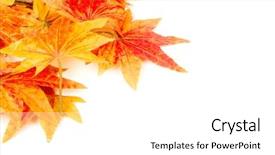  Presentation with artificial intelligence white - Presentation enhanced with autumn leaves border - artificial maple leafs isolated background and a  colored foreground
