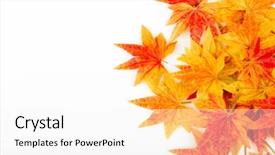  Presentation with artificial intelligence white - Amazing presentation theme having autumn leaves border - artificial maple leafs isolated backdrop and a  colored foreground