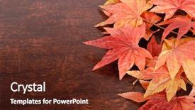  Presentation with old wood - Beautiful theme featuring autumn leaves border - artificial maple leafs over old backdrop and a  colored foreground