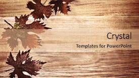 Presentation with autumn wood - PPT theme consisting of autumn leaves border over natural background and a coral colored foreground