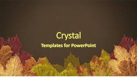  Presentation with autumn leaves - Audience pleasing presentation consisting of autumn leaves border with dark backdrop and a tawny brown colored foreground