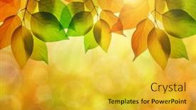  Presentation with autumn leaves - Colorful PPT theme enhanced with autumn-leaves-close-up backdrop and a yellow colored foreground