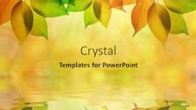  Presentation with autumn leaves - PPT theme featuring autumn-leaves-close-up background and a  colored foreground