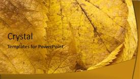  Presentation with fall - Presentation with autumn leaves corner border - fall background background and a  colored foreground