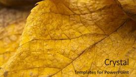  Presentation with fall mounains - Amazing presentation theme having autumn leaves corner border - fall background backdrop and a  colored foreground