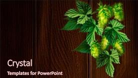  Presentation with hops - Slide deck with autumn leaves corner border - young fresh green hops background and a wine colored foreground