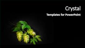 Presentation with hops - PPT layouts enhanced with autumn leaves corner border - young fresh green hops background and a black colored foreground