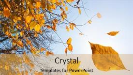  Presentation with autumn - PPT layouts featuring autumn leaves falling down close background and a yellow colored foreground