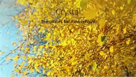  Presentation with leaves falling - 