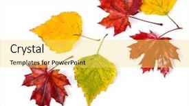  Presentation with falling leaves - Presentation with autumn leaves falling isolated background and a yellow colored foreground