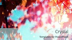  Presentation with shimmering - Amazing presentation design having autumn leaves falling sky - flare against light design shimmering backdrop and a  colored foreground