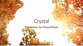  Presentation with low angle view of volleyball - Audience pleasing PPT layouts consisting of autumn leaves falling sky - glowing background against low angle backdrop and a  colored foreground