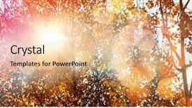  Presentation with background - Beautiful slide deck featuring autumn leaves falling sky - glowing background against low angle backdrop and a  colored foreground