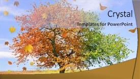  Presentation with season lent - Amazing slide deck having islamic finance background - concept of hundred percent 100 backdrop and a dark gray colored foreground