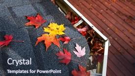  Presentation with autumn leaves - Presentation featuring autumn leaves in a rain background and a tawny brown colored foreground