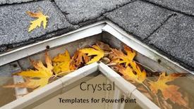  Presentation with autumn leaves - Presentation theme with autumn-leaves-in-a-rain background and a coral colored foreground