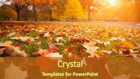  Presentation with yellow orange - Amazing presentation theme having autumn leaves in beautiful fall backdrop and a crimson colored foreground