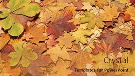  Presentation with autumn leaves - Colorful presentation theme enhanced with autumn-leaves-in-forest-seasonal backdrop and a gold colored foreground