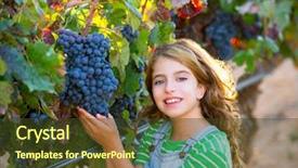  Presentation with autumn leaves - Slide set consisting of portrait of a young beautiful blonde woman using laptop background and a light gray colored foreground