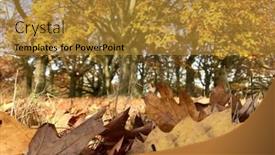 Presentation with autumn leaves - Audience pleasing PPT theme consisting of autumn-leaves-in-the-forest backdrop and a gold colored foreground