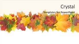  Presentation with autumn leaves - Cool new slide set with autumn leaves isolated on white backdrop and a blonde colored foreground