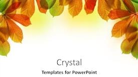  Presentation with autumn leaves - Beautiful slide set featuring autumn-leaves-of-chestnut-tree backdrop and a white colored foreground