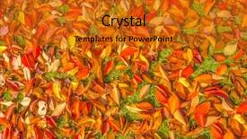  Presentation with autumn leaves - Colorful presentation design enhanced with autumn leaves on a meadow backdrop and a  colored foreground