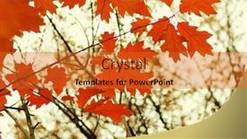  Presentation with blurred bokeh - 