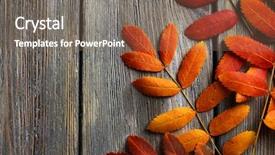  Presentation with autumn wood - Audience pleasing presentation theme consisting of autumn leaves on brown wooden backdrop and a  colored foreground