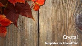  Presentation with autumn leaves - Amazing theme having autumn leaves on brown wooden backdrop and a  colored foreground