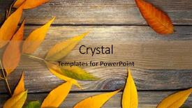  Presentation with autumn leaves - Beautiful PPT layouts featuring autumn leaves on brown wooden backdrop and a  colored foreground