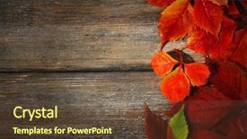  Presentation with barn wood autumn apples - Slide set having autumn leaves on brown wooden background and a  colored foreground